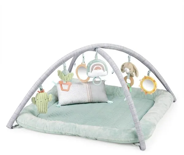 Ingenuity Premium Plush Gym